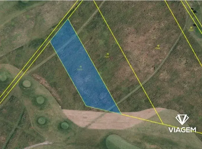 Spekulační - komerční a ostatní 2 805 m², Podíl 33 % o výměř