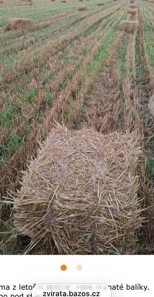 Malé balíky pšeničné nebo ječné slámy