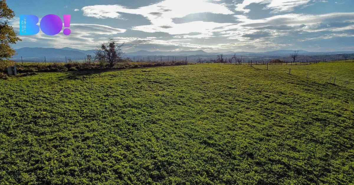 Prodej pozemku 4 357 m², Těrlicko