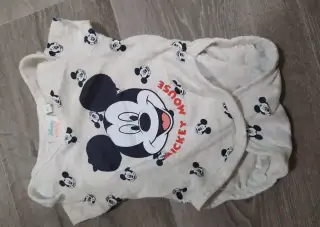 Body Mickey mouse vel. 62
