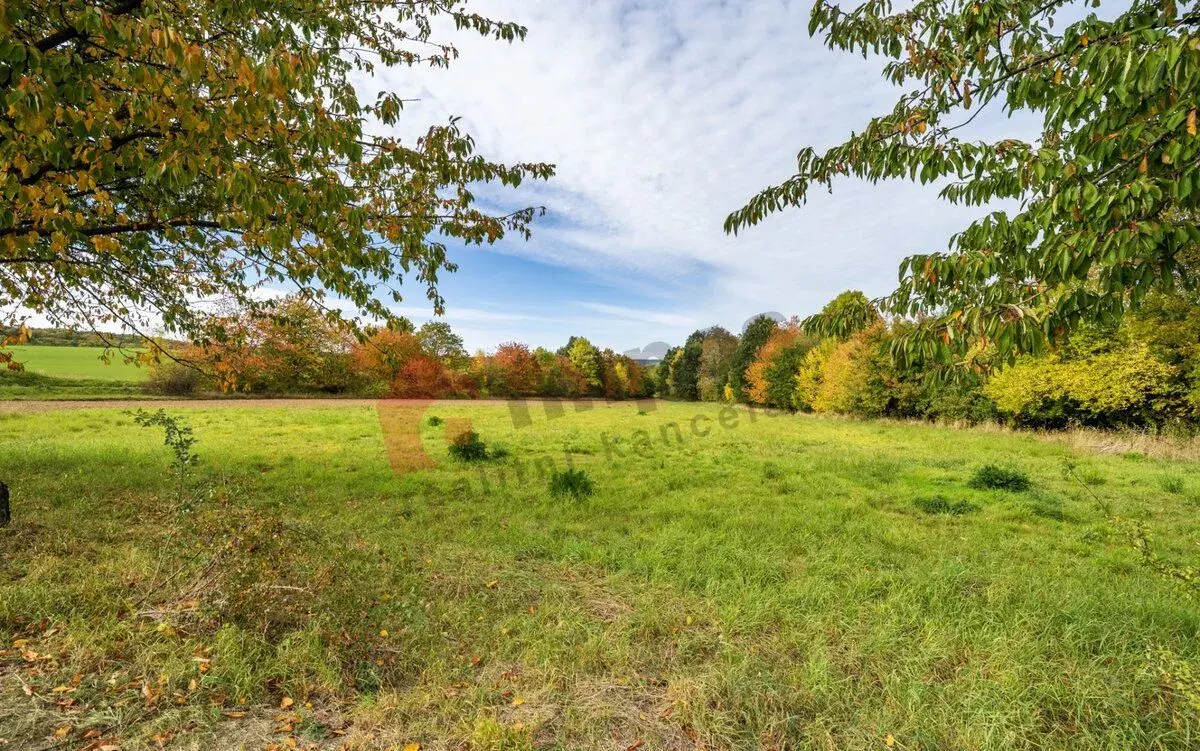 Prodej stavebního pozemku 7 821 m2 Senička, Nové Dvory