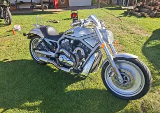 Harley Davidson V-Rod -VRSCA