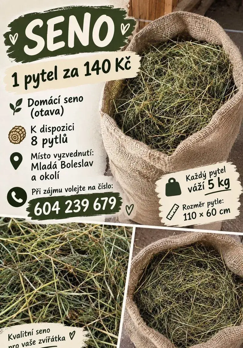 2.senoseč Otava