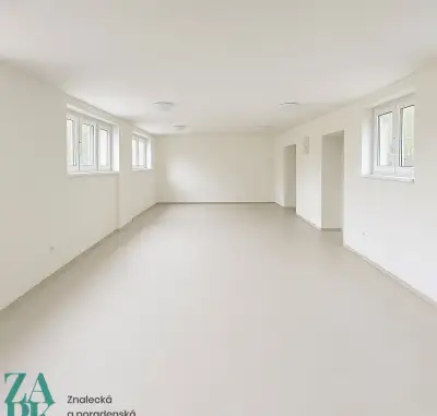 Pronájem komerčních prostor 57 m2, Střekov, Ústí nad Labem