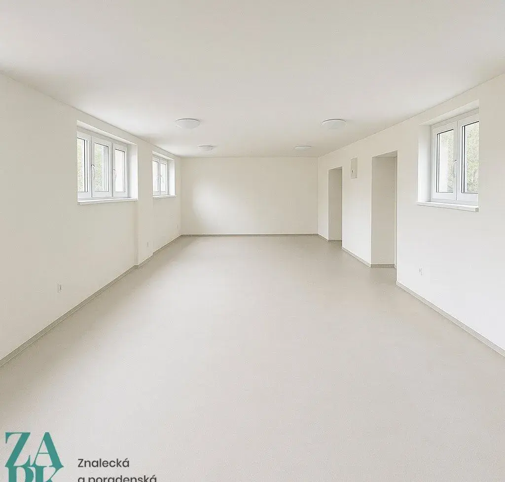 Pronájem komerčních prostor 57 m2, Střekov, Ústí nad Labem