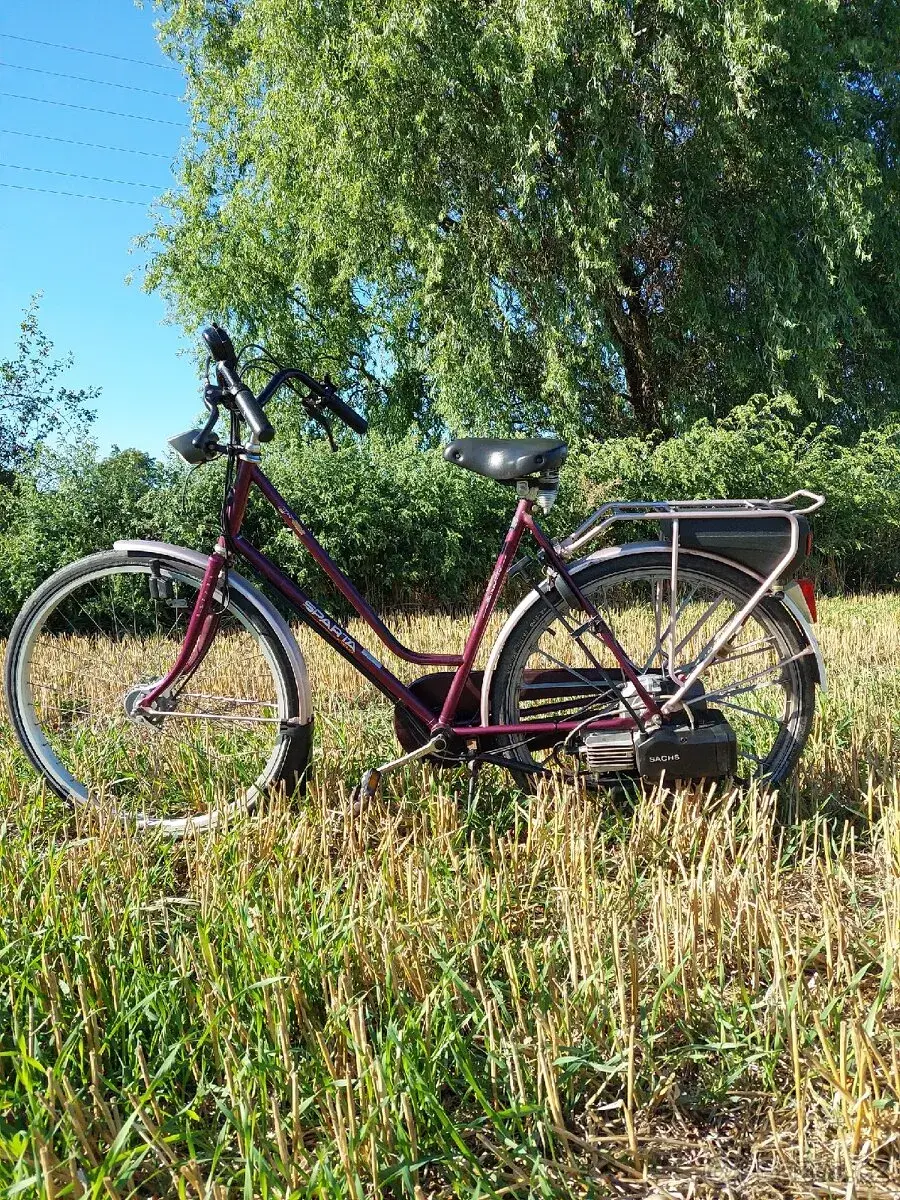 Sachs sparta
