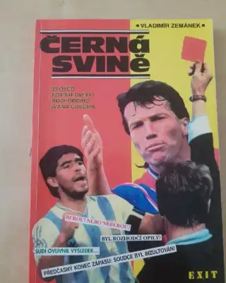 Černá svině