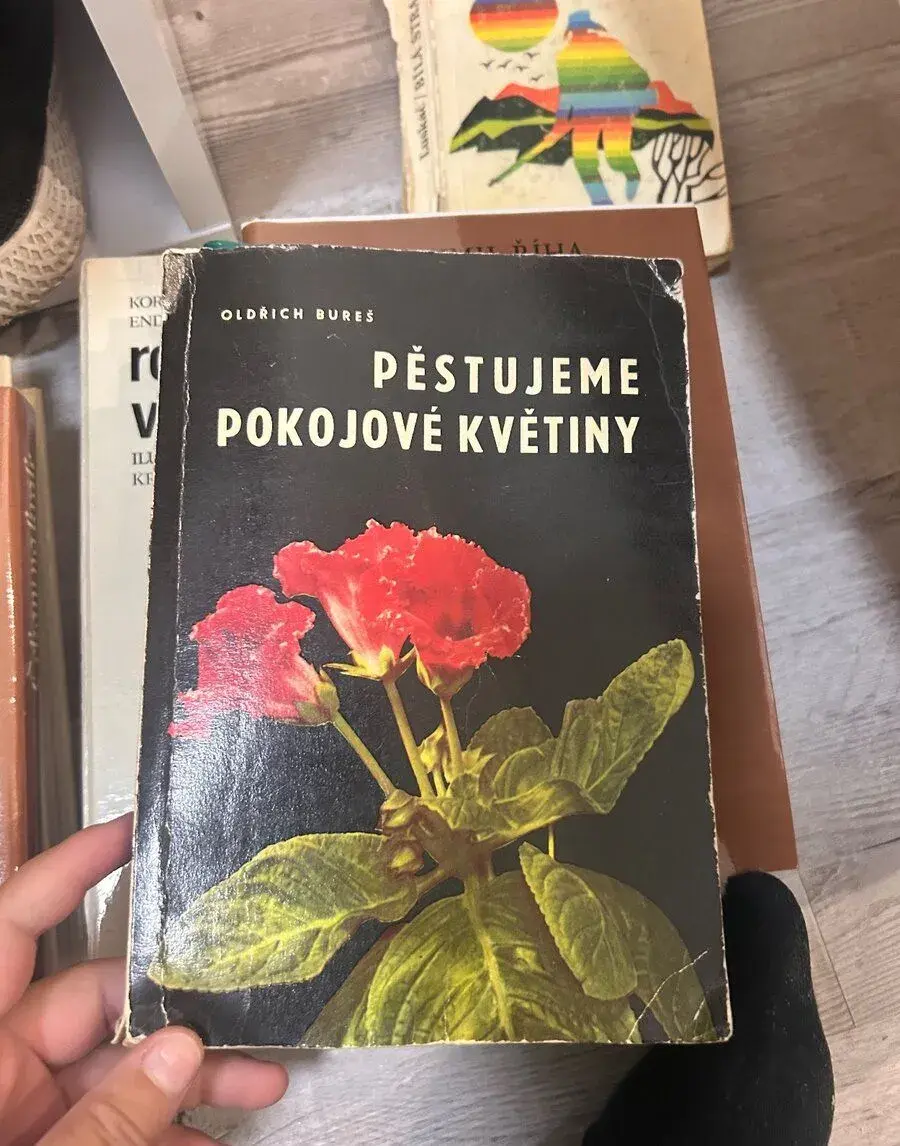 Pěstujeme pokojové květiny – Oldřich Bureš