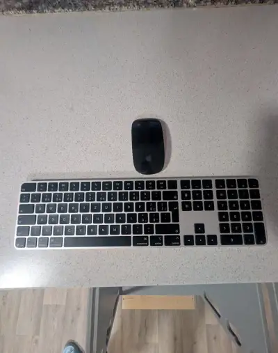 Apple magic keyboard s touch ID+ Apple magic mouse 2