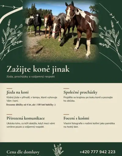 Zažijte koně trochu jinak