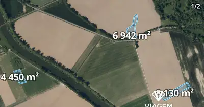 Pole 19 590 m², Podíl 8 % o výměře 977 m²