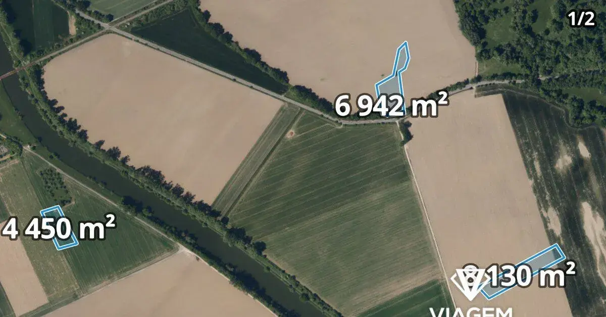 Pole 19 590 m², Podíl 8 % o výměře 977 m²