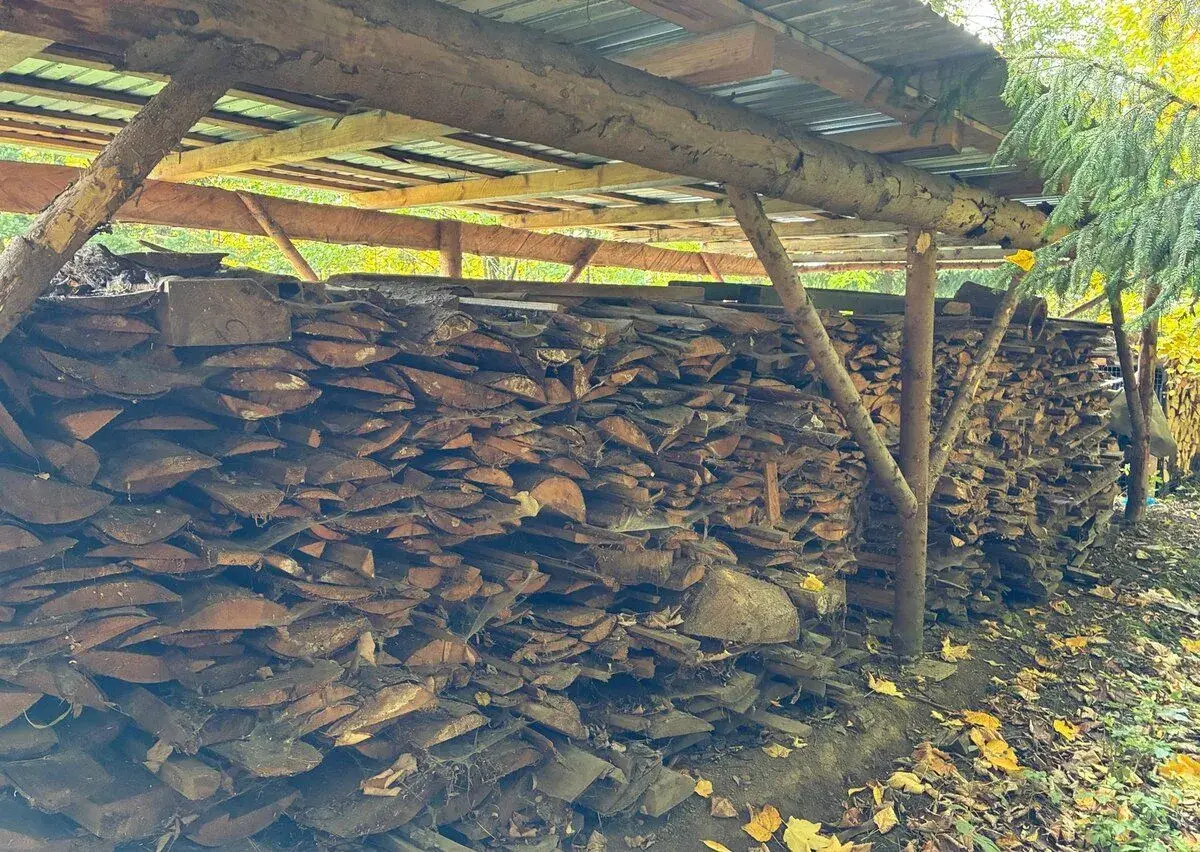 Smrkové odkory