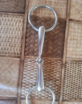 Udidlo