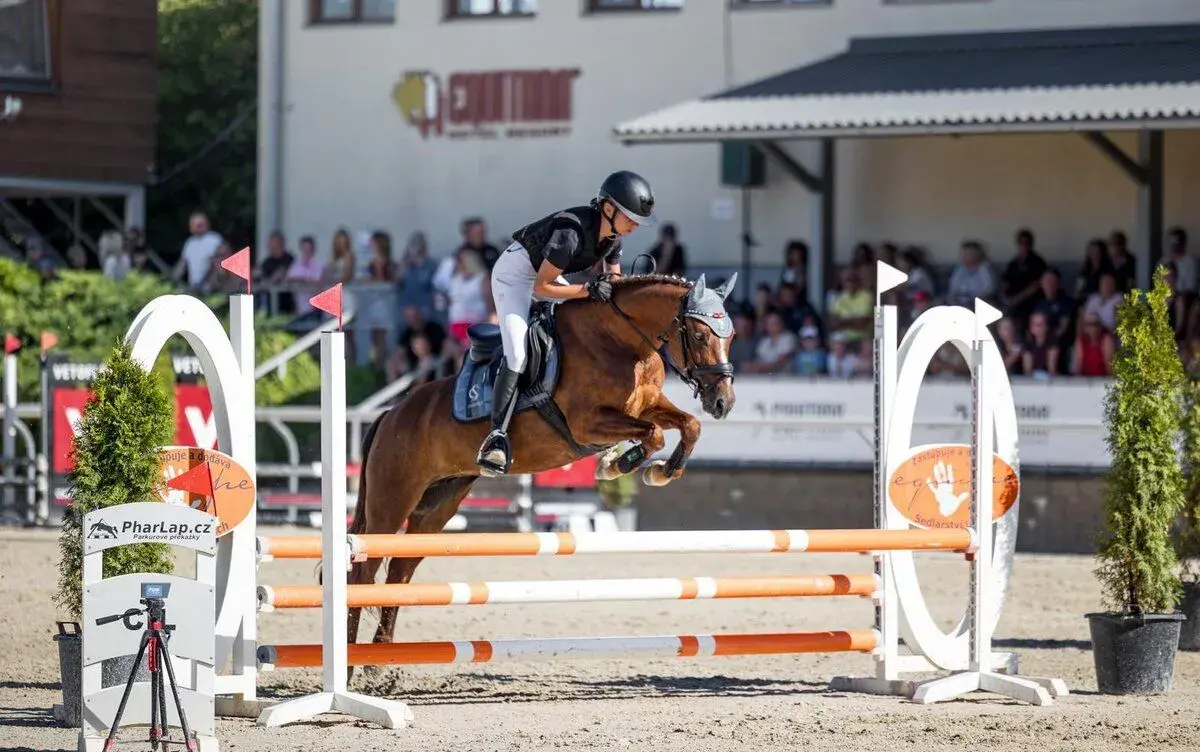 Pony klisna kat. A