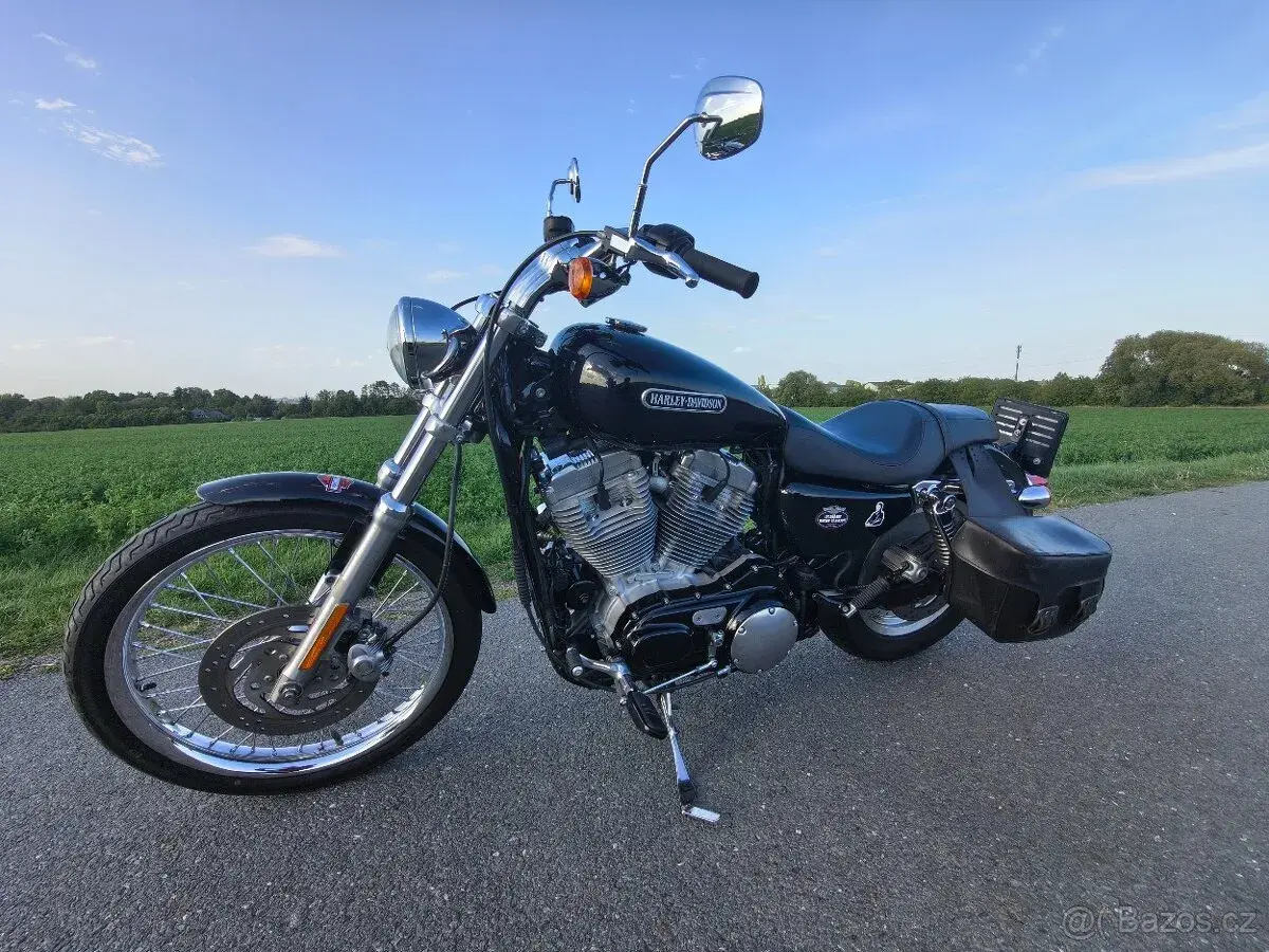 Harley Davidson XL883 Custom