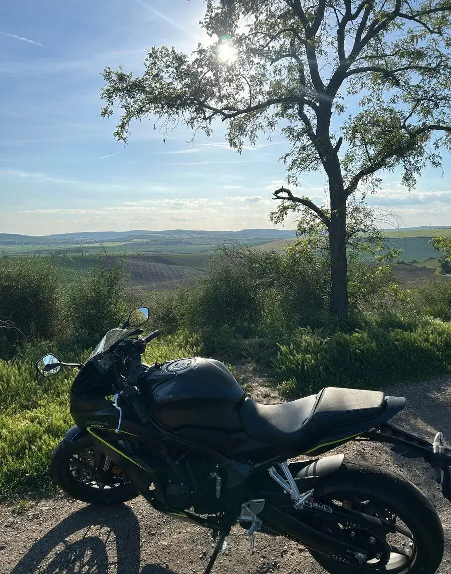 Honda CBR650r