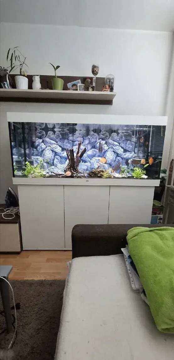 Akvárium Juwel RIO 450 i s terčovci