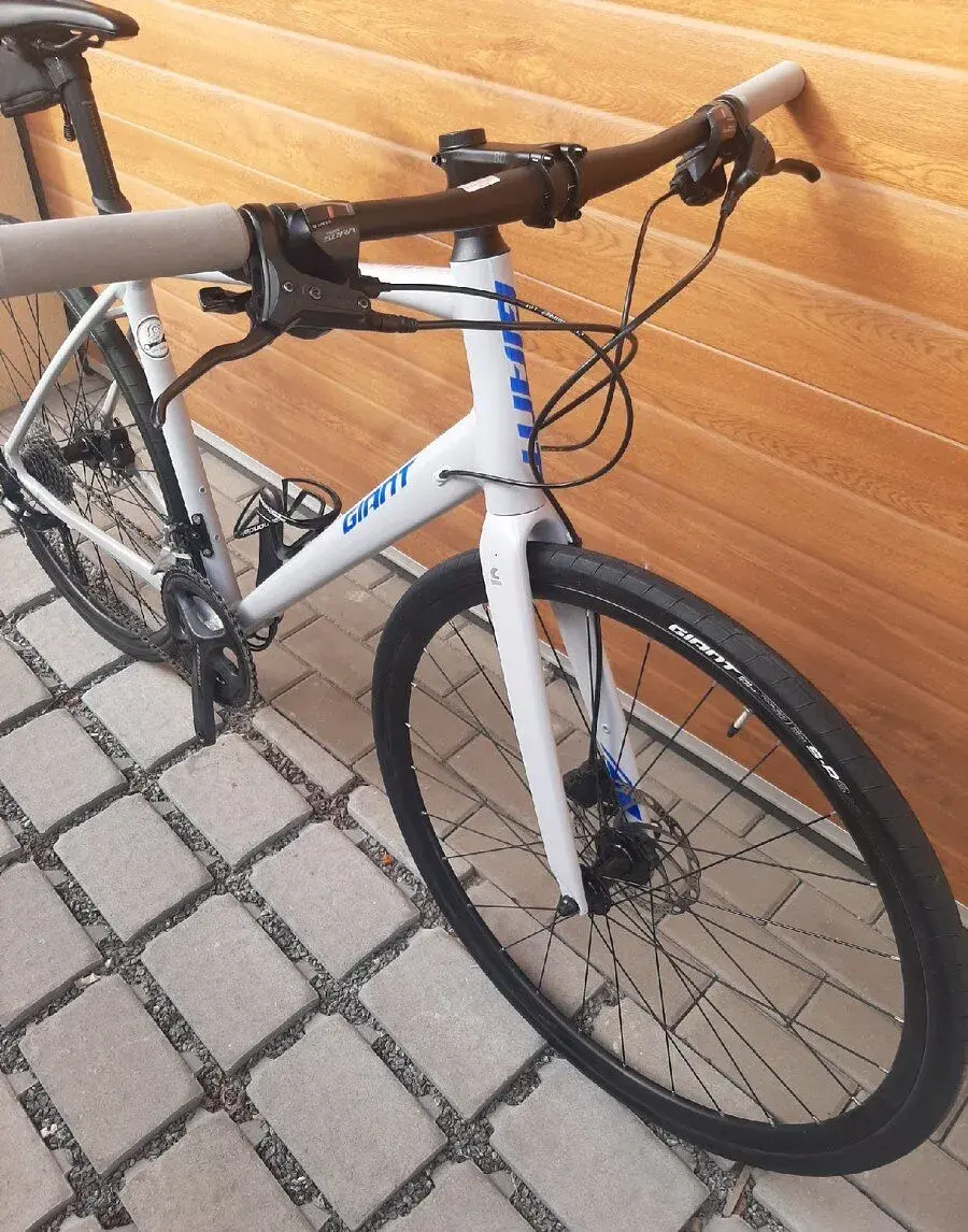 Fitness, silniční kolo Giant FastRoad SL 2 2022 (L)