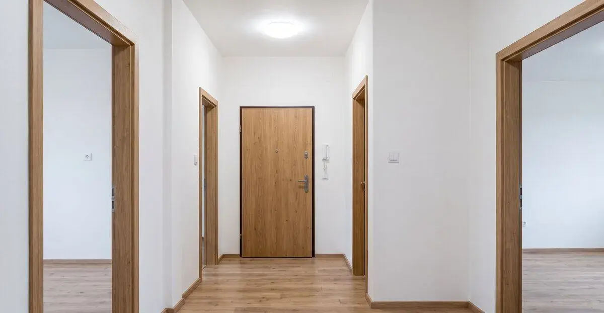 Prodej, byt 2+1, 50 m, Albrechtická 255, Litvínov - Janov, Č
