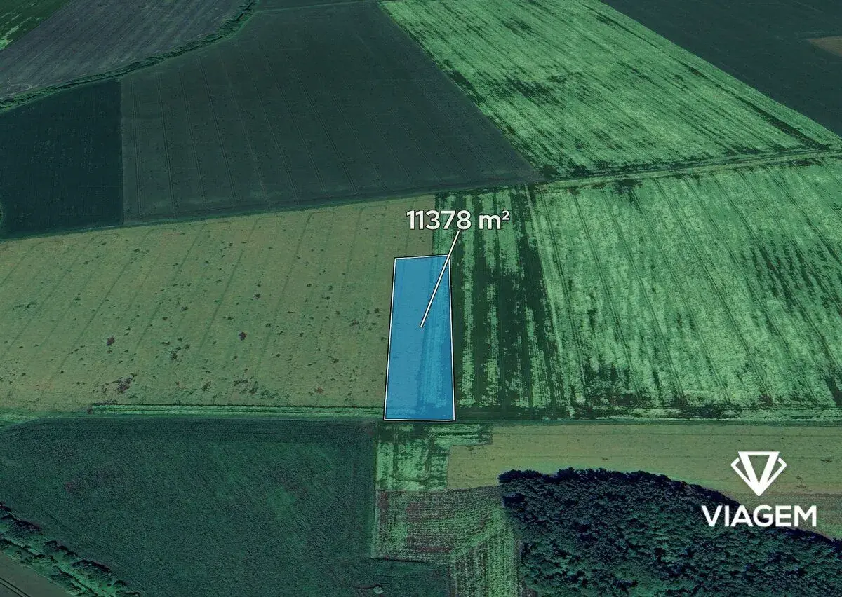 Pole 11 378 m², Podíl 22 % o výměře 2 528 m²