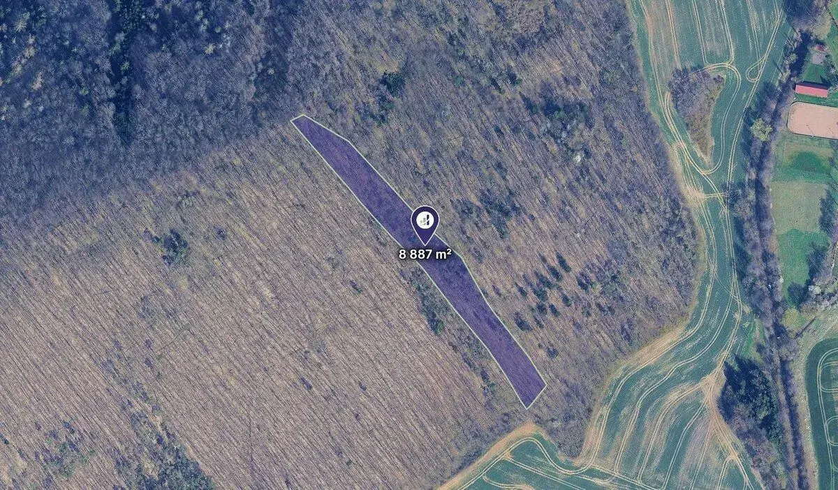 Prodej lesa 0,89 ha, 272 m³ dřeva, dub zimní + borovice – Lo