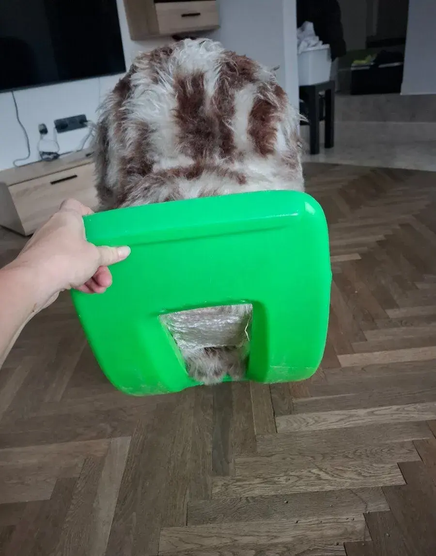 Houpací kočka