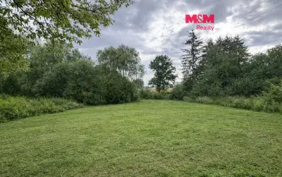 Pronájem louky, 6932 m², Žleby - Zehuby