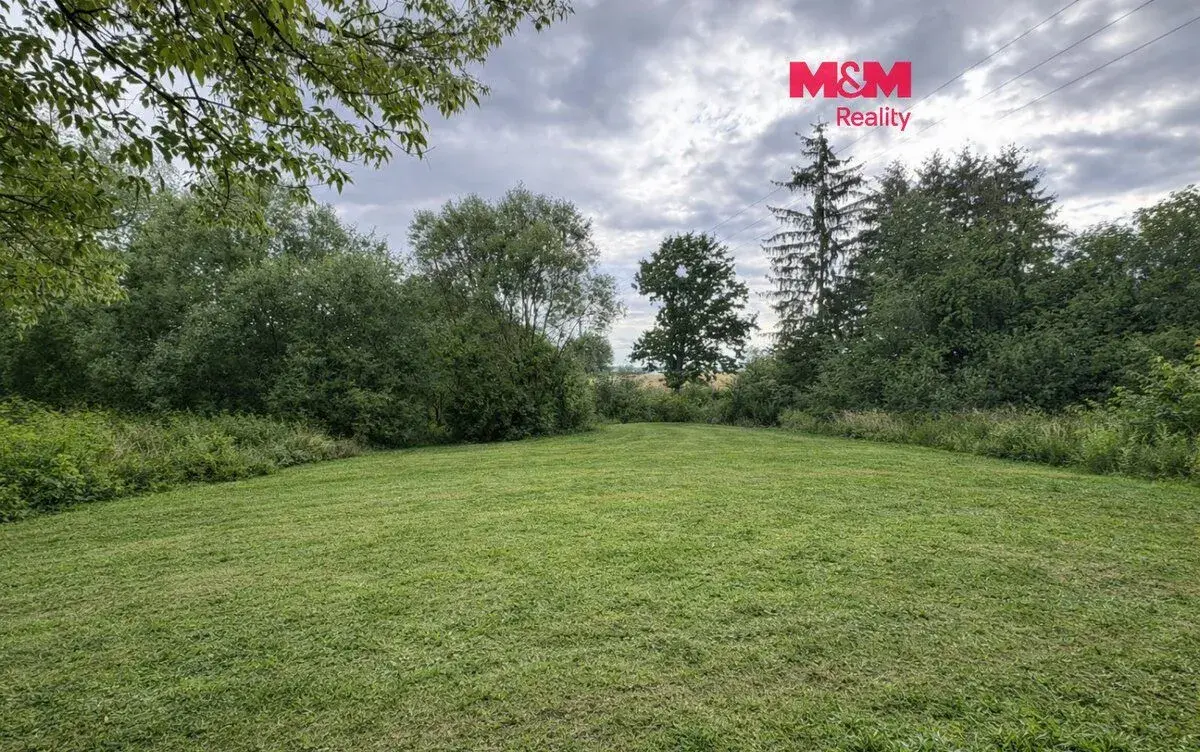 Pronájem louky, 6932 m², Žleby - Zehuby