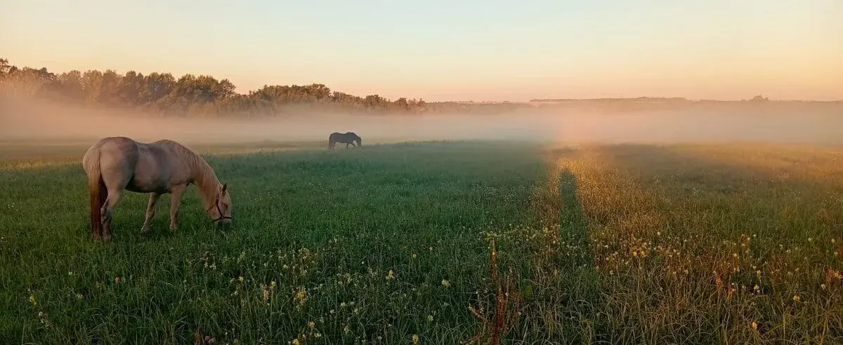 Odpočinek kempování v klidu a soukromí farmy Jižní Moravy