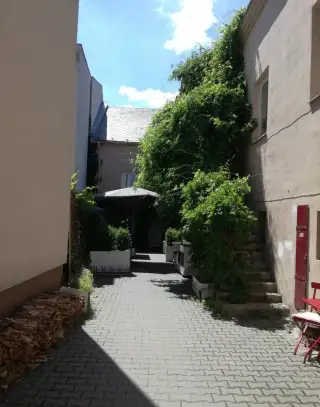 botanico cafe prostějov