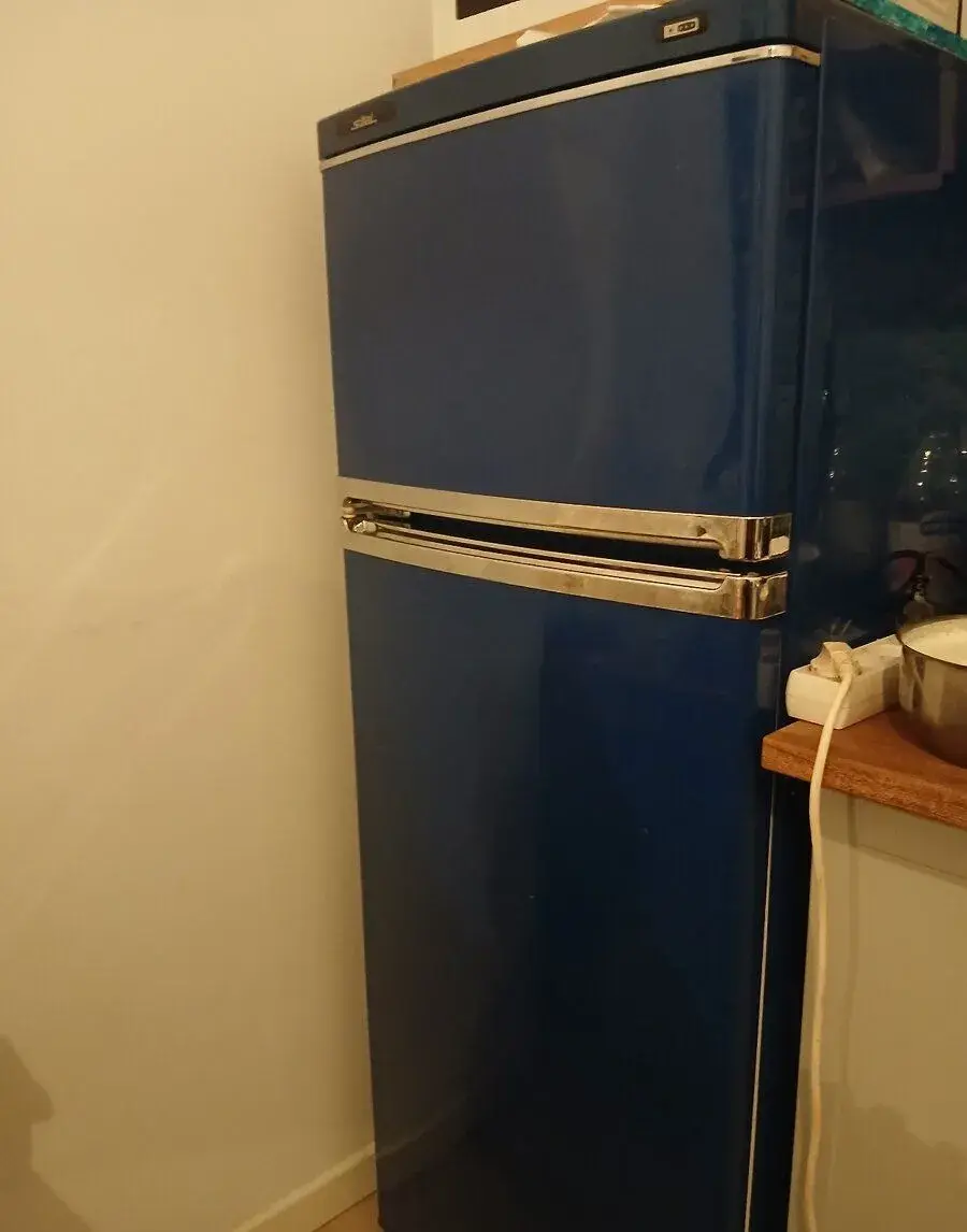 Ĺednicka s mrazakem 1900 CZK
