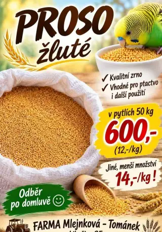proso žluté