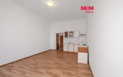 Pronájem bytu 1+kk, 43 m², Plzeň, ul. Koterovská